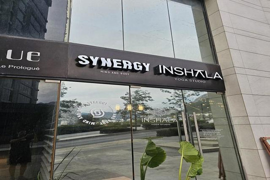 Imagen 2 de la galería del partner Synergy