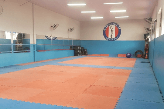 Imagem 1 da galeria do parceiro Bushi No Te Academia