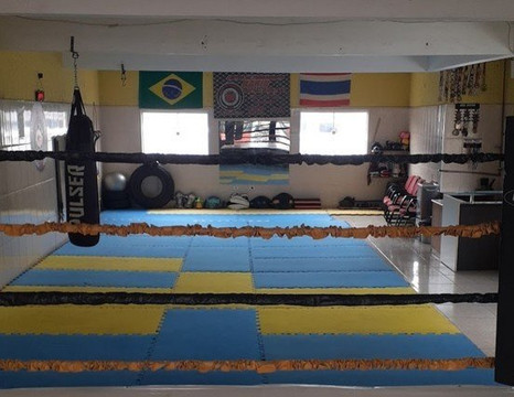 Imagem 3 da galeria do parceiro Centro de Treinamento Thai Team Dario