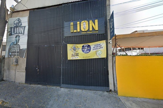 Imagen 2 de la galería del partner Lion Fitness