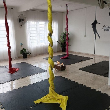 Imagem 1 da galeria do parceiro Studio Pole Fitness Liberté