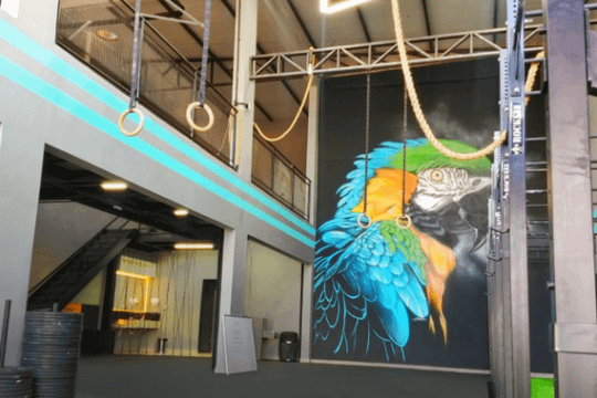 Imagem 1 da galeria do parceiro Macaw Crossfit