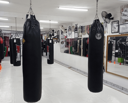 Imagem 1 da galeria do parceiro Academia de Lutas Força Guerreira