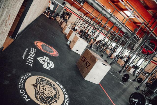 Immagine 2 dalla galleria del partner CrossFit Suzzara