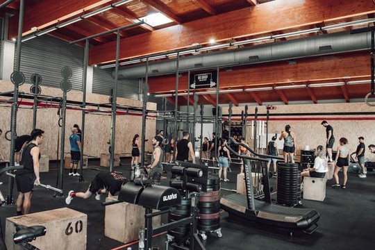 Immagine 3 dalla galleria del partner CrossFit Suzzara