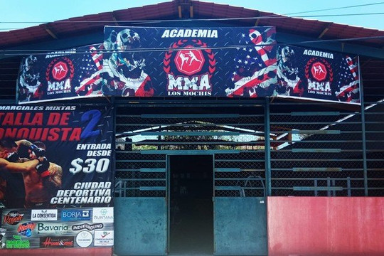 Imagen 2 de la galería del partner MMA Los Mochis