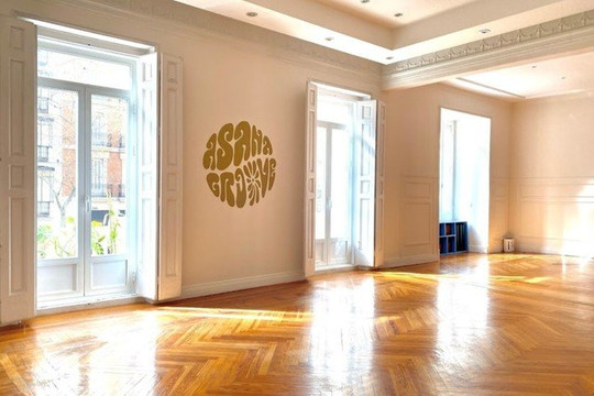 Imagen 3 de la galería del partner Asana Groove