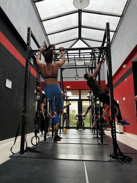 Immagine 3 dalla galleria del partner Italiana Fitness Parco Kolbe