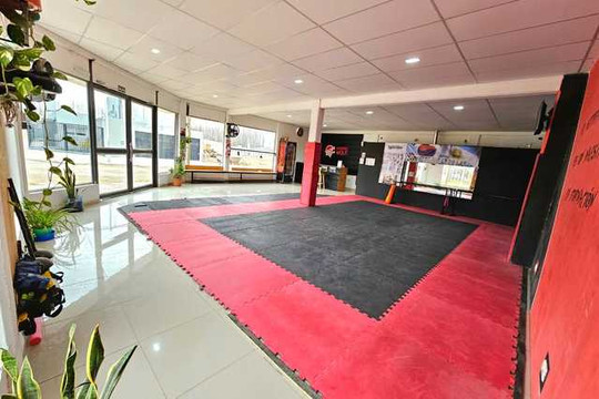 Imagen 1 de la galería del partner Academia Wolf