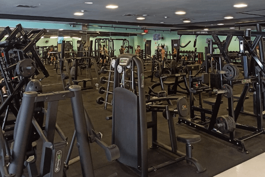 Imagem 1 da galeria do parceiro Gym Nation