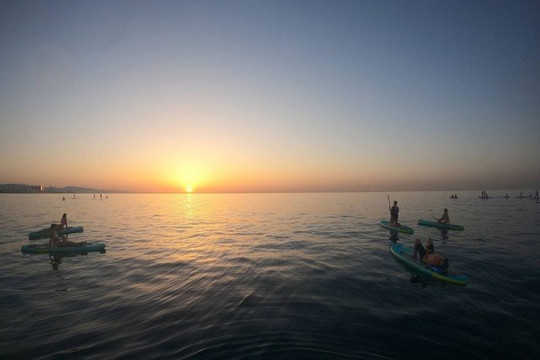 Imagen 1 de la galería del partner Sup Spot Barcelona