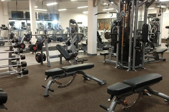 Image 3 from New Milton partner gallery