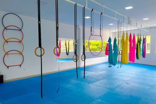 Imagem 3 da galeria do parceiro JNT Studio Girassol