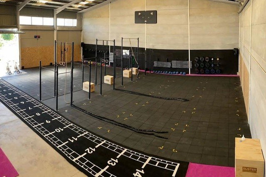 Imagen 1 de la galería del partner Mapache Training Club