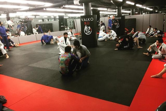 Image 3 from Valko Brazilian Jiu-Jitsu Academy partner gallery