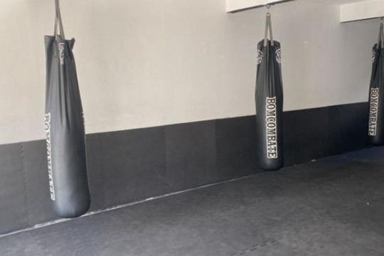Imagem 2 da galeria do parceiro Iron Guard