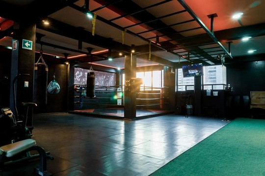 Imagen 1 de la galería del partner Upper Boxing