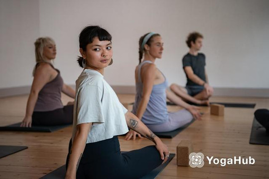 Image 1 from yogahub Castleknock partner gallery