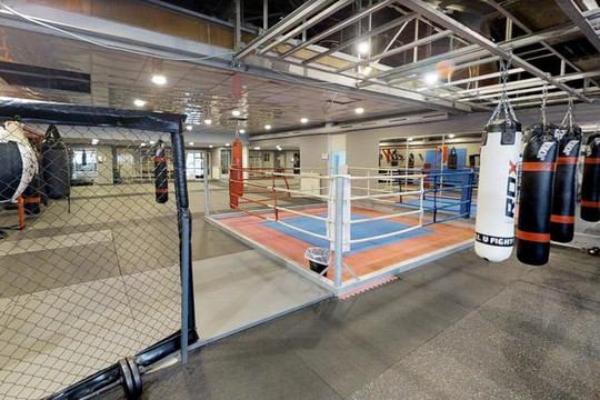 Bild 3 von Hammer Gym Hamburg e.V. Partnergalerie