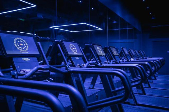 Image 2 from Perpetua Fitness Lennox Street partner gallery