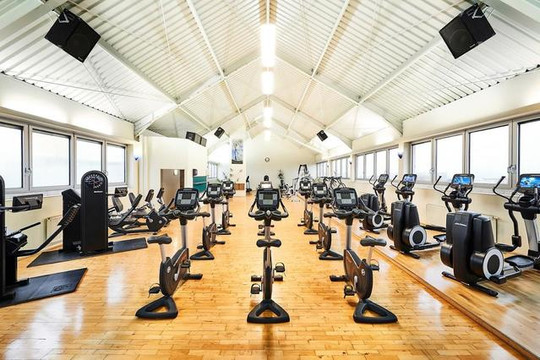 Bild 1 von Bewegungszentrum Mainz Partnergalerie