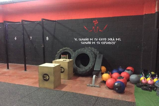 Imagen 1 de la galería del partner Spartan Box