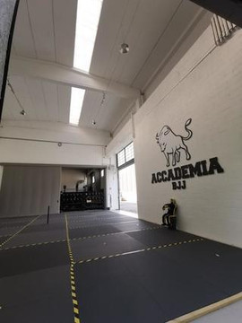 Immagine 1 dalla galleria del partner Accademia Torino