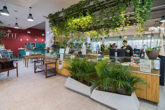 Imagem 1 da galeria do parceiro Ecofit