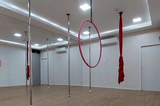 Imagem 3 da galeria do parceiro Bloom Studio de Pole Dance