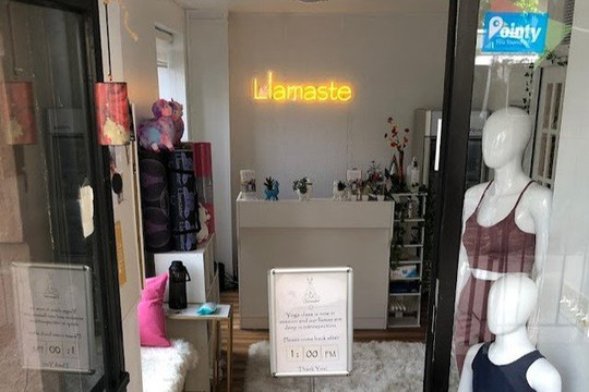 Image 2 from Llamaste Family Yoga Center partner gallery