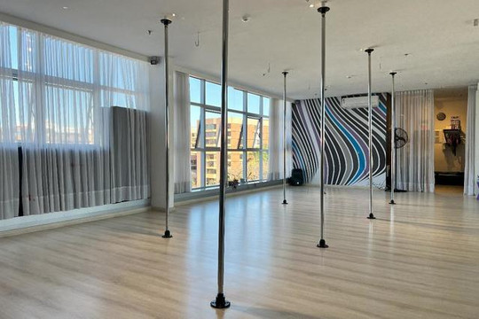 Imagem 2 da galeria do parceiro Salinha Pole & Dança