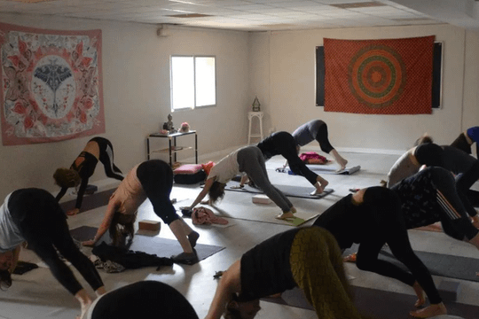 Imagen 3 de la galería del partner Yoga Vida Manawa - Fuencarral