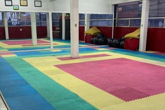 Imagen 1 de la galería del partner Escuela de Artes Marciales "Tigre Blanco" Pak-Fu Kung-Fu Wu-Shu