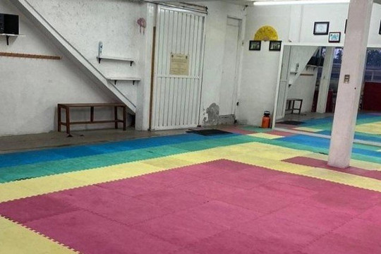 Imagen 2 de la galería del partner Escuela de Artes Marciales "Tigre Blanco" Pak-Fu Kung-Fu Wu-Shu
