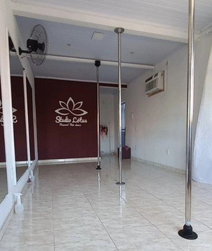 Imagem 1 da galeria do parceiro Studio Lótus Personal Pole Dance
