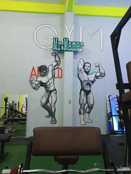 Imagen 2 de la galería del partner Gym Mr. Mamer