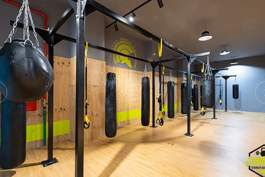 Imagen 3 de la galería del partner LCS The Jungle