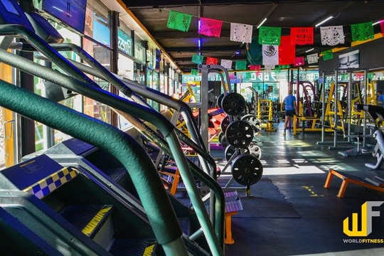 Imagen 2 de la galería del partner World fitness gym