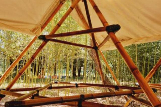 Imagem 2 da galeria do parceiro Solaris Bambu