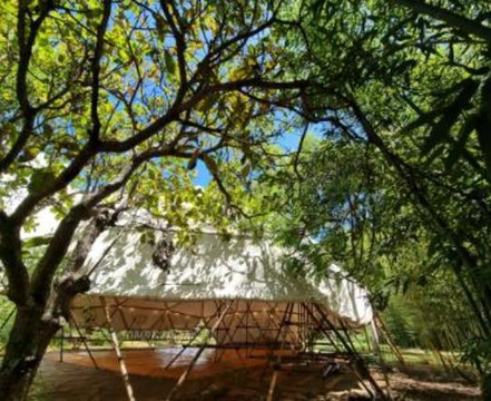 Imagem 3 da galeria do parceiro Solaris Bambu