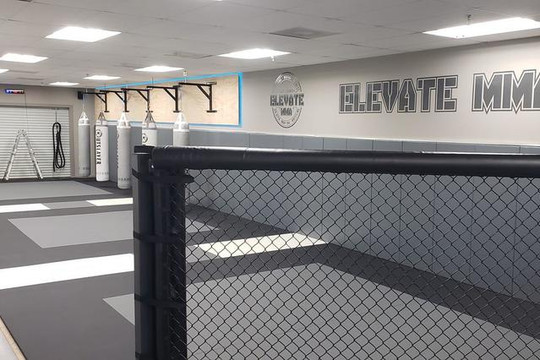Image 1 from ELEVATE MMA partner gallery