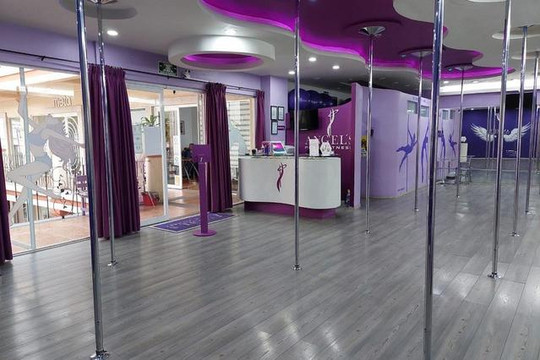 Imagen 1 de la galería del partner Angel's Pole Fitness