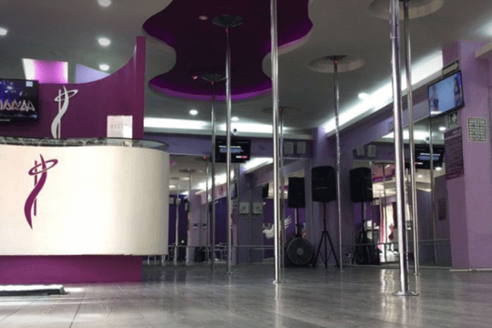 Imagen 2 de la galería del partner Angel's Pole Fitness