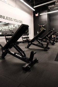 Image 2 from Pure Bread Training partner gallery