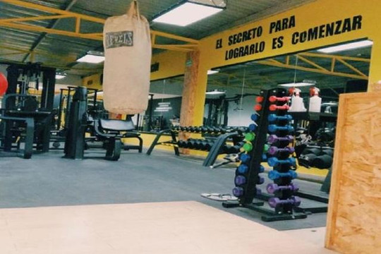 Imagen 1 de la galería del partner Wellness Gym