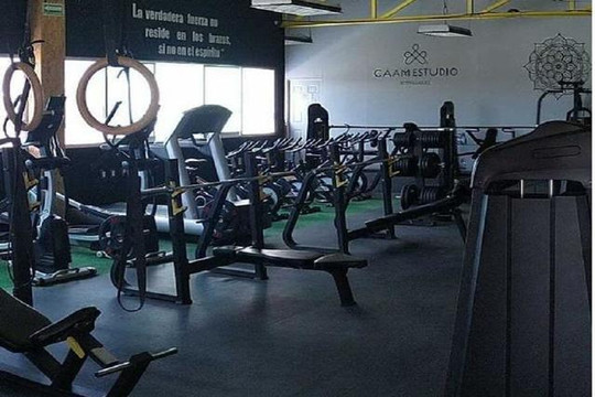 Imagen 2 de la galería del partner Wellness Gym