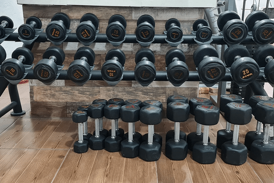 Imagen 3 de la galería del partner The Power House GYM Foresta