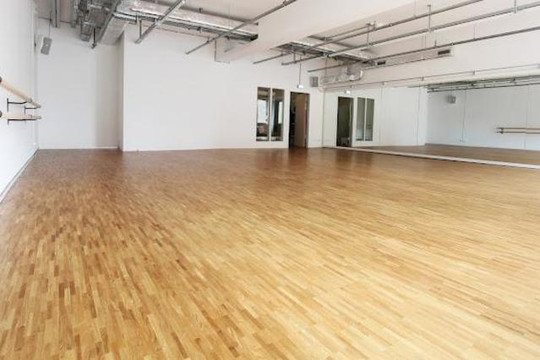 Bild 1 von motion*s Gleisdreieck Tanz-und Bewegungsstudio Partnergalerie