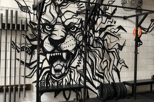 Imagem 3 da galeria do parceiro Crossfit Voraz