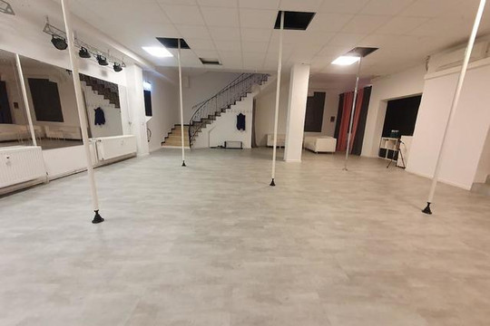 Bild 1 von Pole Dance Studio Darmstadt Partnergalerie